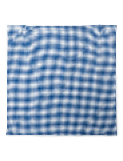 Nico Scarf - GINGHAM MINI BLUE