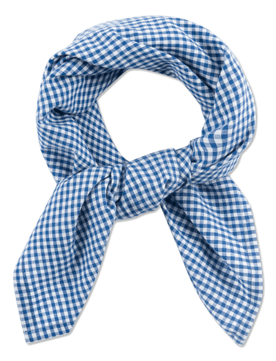 Nico Scarf - GINGHAM MINI BLUE